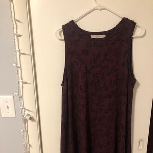 NWT LOFT Swing Dress